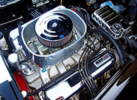 tigmig 401 crop u1305055